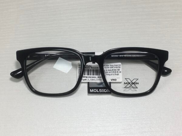 Molsion MX3002_B10.C